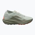 Men's running shoes Nike ACG Pegasus Trail GORE-TEX Light Silver/Light Army/Light Silver
