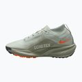 Men's running shoes Nike ACG Pegasus Trail GORE-TEX Light Silver/Light Army/Light Silver 2