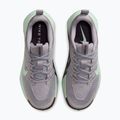 Women's running shoes Nike Wildhorse 10 silver lilac/tattoo/barely green 4