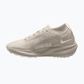 Men's running shoes Nike ACG Pegasus Trail GORE-TEX Cream Ii/Light Orewood Brown 2