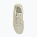 Women's training shoes Nike Flex Train phantom/platinum violet/sail/fennel 2