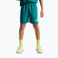Children's shorts Nike Multi Refresh bright spruce