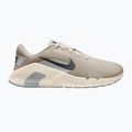 Men's training shoes Nike Flex Train cream li/pale ivory/wolf grey/anthracite