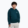 Children's sweatshirt New Balance Brush Back Small Logo Hoodie medusa green