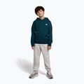 Children's sweatshirt New Balance Brush Back Small Logo Hoodie medusa green 2