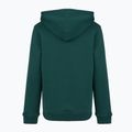 Children's sweatshirt New Balance Brush Back Small Logo Hoodie medusa green 7