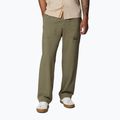 Men's trekking trousers Columbia Landroamer Scout stone green
