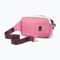 Waist bag Columbia Trail Traveler Hip sea salt/rosette/moonvista 2