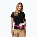 Waist bag Columbia Trail Traveler Hip sea salt/rosette/moonvista 6