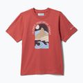 Children's T-shirt Columbia Valley Creek II Graphic washed red/cozy coastline