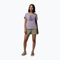 Women's T-shirt Columbia Parsons Point Scoop Tee lavender pearl heather/canopy view 2