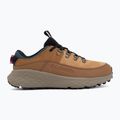 Women's hiking boots Columbia Terrastride BC foxglove 2
