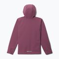 Children's softshell jacket Columbia Ascender Hooded Softshell antique mauve 2