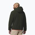 Men's fleece sweatshirt Columbia Helvetia II Hoodie Greenscape 3