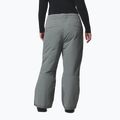 Women's ski trousers Columbia Bugaboo III sedona sage 3