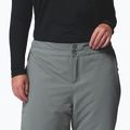 Women's ski trousers Columbia Bugaboo III sedona sage 5