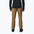 Men's climbing trousers Columbia ROC Tech Warm Chino delta 3