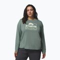 Women's longsleeve Columbia Parsons Point LS Graphic Tee sedona sage heather/all terrain