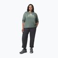 Women's longsleeve Columbia Parsons Point LS Graphic Tee sedona sage heather/all terrain 2