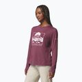 Women's longsleeve Columbia Parsons Point LS Graphic Tee antique mauve heather/all terrain 4