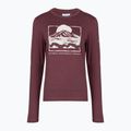 Women's longsleeve Columbia Parsons Point LS Graphic Tee antique mauve heather/all terrain 6