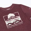 Women's longsleeve Columbia Parsons Point LS Graphic Tee antique mauve heather/all terrain 8