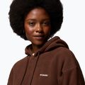 Women's fleece sweatshirt Columbia Timber Meadow MTR Fleece Hoodie tobacco 6