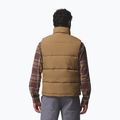 Men's gilet Columbia Landroamer Puffer delta 3