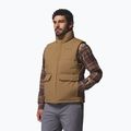 Men's gilet Columbia Landroamer Puffer delta 5