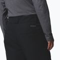 Men's ski trousers Columbia Bugaboo VI black 9