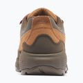 Men's trekking boots Columbia Newton Alpine Low grizzly bear/red oxide 2