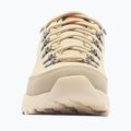 Men's trekking boots Columbia Newton Alpine Low fossil/sedona sage 3