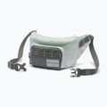 Waist bag Columbia Zigzag II Hip Pack 1 l sedona sage/tea light