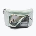 Waist bag Columbia Zigzag II Hip Pack 1 l sedona sage/tea light 4