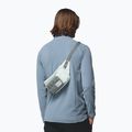 Waist bag Columbia Zigzag II Hip Pack 1 l sedona sage/tea light 8