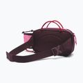 Waist bag Columbia Echo Mountain Hip moonvista/nico 2