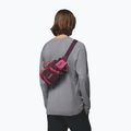 Waist bag Columbia Echo Mountain Hip moonvista/nico 7