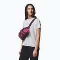 Waist bag Columbia Echo Mountain Hip moonvista/nico 8