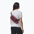 Waist bag Columbia Echo Mountain Hip moonvista/nico 9