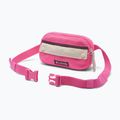 Waist bag Columbia Helvetia II Hip Pack 1 l nico/dark stone