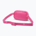 Waist bag Columbia Helvetia II Hip Pack 1 l nico/dark stone 2