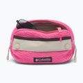 Waist bag Columbia Helvetia II Hip Pack 1 l nico/dark stone 3