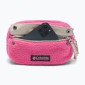 Waist bag Columbia Helvetia II Hip Pack 1 l nico/dark stone 4