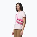 Waist bag Columbia Helvetia II Hip Pack 1 l nico/dark stone 5