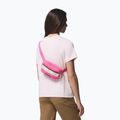 Waist bag Columbia Helvetia II Hip Pack 1 l nico/dark stone 6