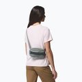 Waist bag Columbia Helvetia II Hip Pack 1 l sedona sage/shark 8