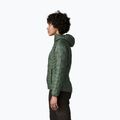 Women's insulated jacket Patagonia Micro Puff Hoody canopy green 3