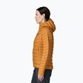 Women's down jacket Patagonia Down Sweater Hoody cinnamon brown 4
