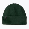 Winter hat Patagonia Brodeo treeline green