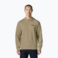 Men's sweatshirt Patagonia Daily Hoody weathered stone